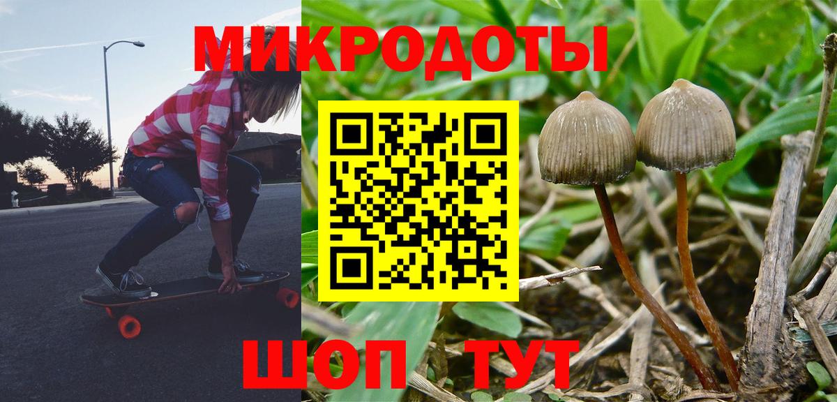 Галлюциногенные грибы MAGIC MUSHROOMS Алексеевка