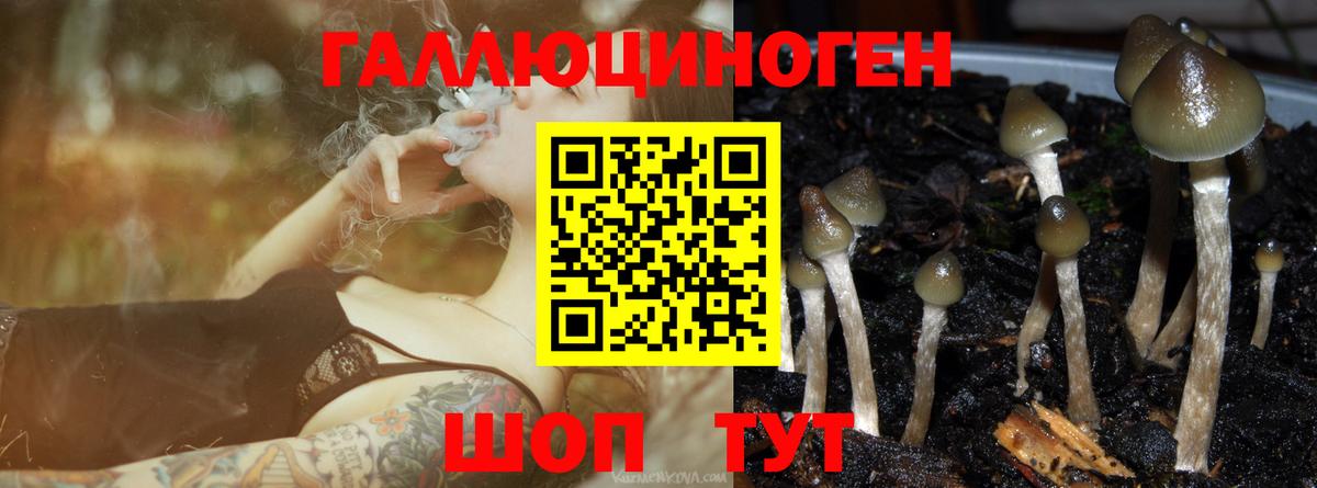Галлюциногенные грибы Psilocybine cubensis  Галлюциногенные грибы Psilocybine cubensis  Вход с VPN  Алексеевка 